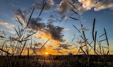 Últimos dias de calor serão de tempo seco e máxima de 36°C em Mato Grosso do Sul