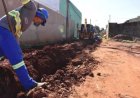 Mato Grosso do Sul pode chegar a 86