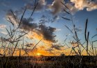 Últimos dias de calor serão de tempo seco e máxima de 36°C em Mato Grosso do Sul