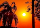 De 7°C a 37°C: fim de semana em MS pode variar de frio a calor intenso