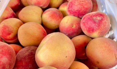 Já pensou nas frutas do Natal? Preço da caixa de kiwi e pêssego chega a R$ 170 em MS