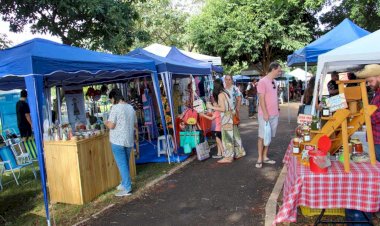 Vereador Maicon Nogueira defende criação da Feira Borogodó