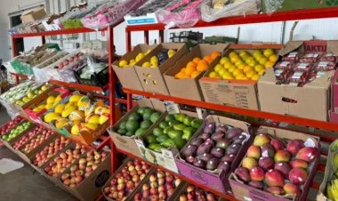 Mudança no tempo faz preço das frutas aumentar mais de 10% na Ceasa-MS