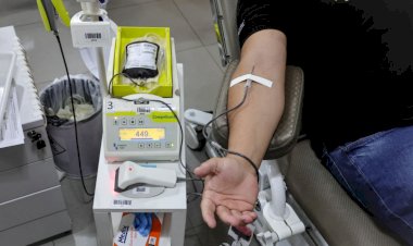 Em memória de quem partiu’: campanha incentiva doação de sangue em Campo Grande
