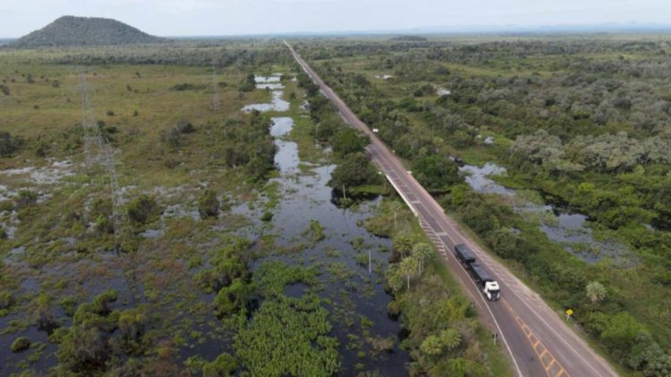 Áreas alagadas no Pantanal diminuíram 75% em 40 anos; 2024 foi o mais seco da história