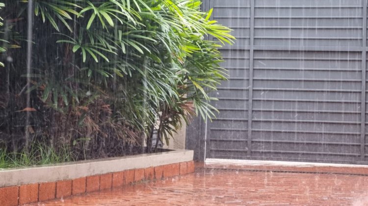 Chuva chega fraca, mas previsão indica tempestades em todo MS