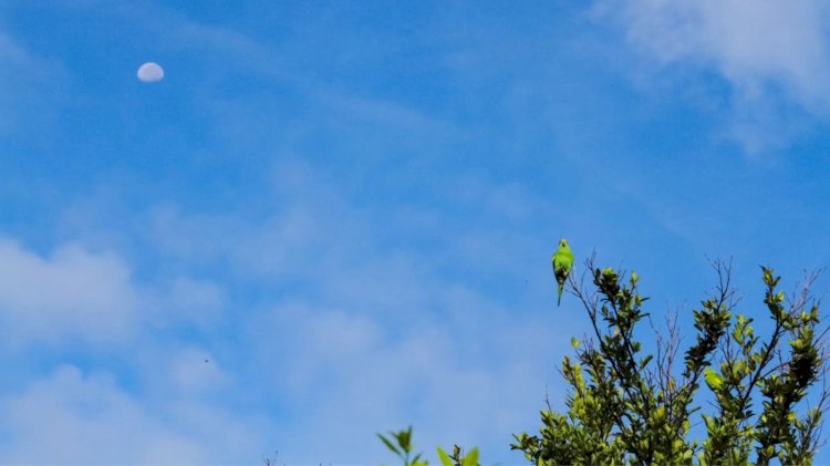 Quarta-feira será de tempo firme em MS, mas pancadas de chuva não são descartadas