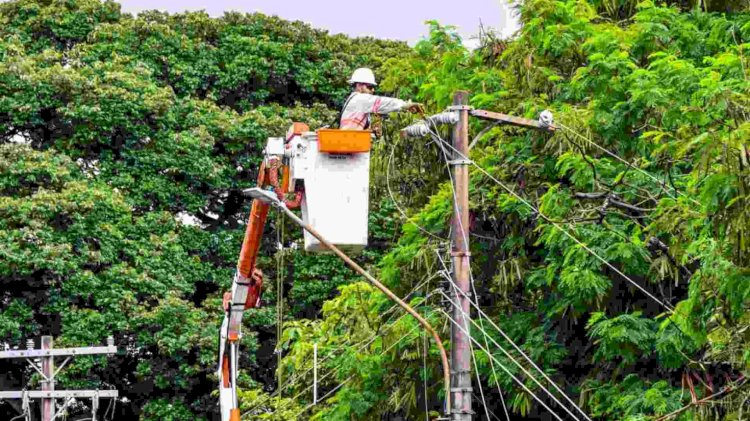 Energisa reforça orientações sobre riscos com eletricidade em meio à alerta de chuva forte
