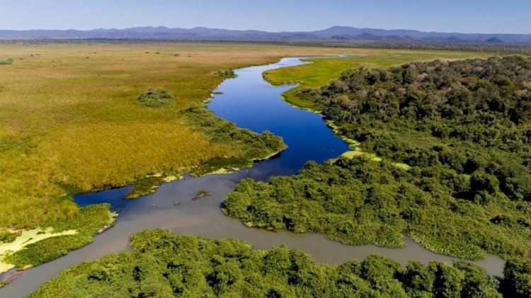 Fazendeiros e ICM Bio debatem criação de refúgio da vida silvestre no Pantanal
