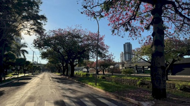 Agosto teve chuva abaixo da média em MS, mas trimestre deve ser mais quente e chuvoso
